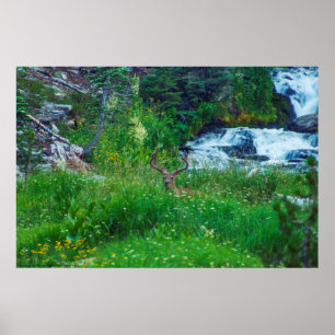 Prince of the Forest Poster