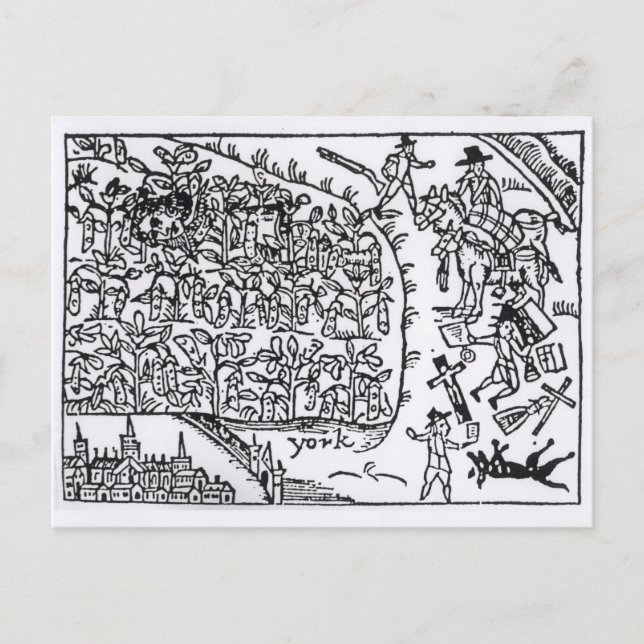 Prince Rupert  Hiding in a Bean Postcard (Front)