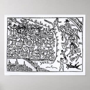 Prince Rupert Hiding in a Bean Poster