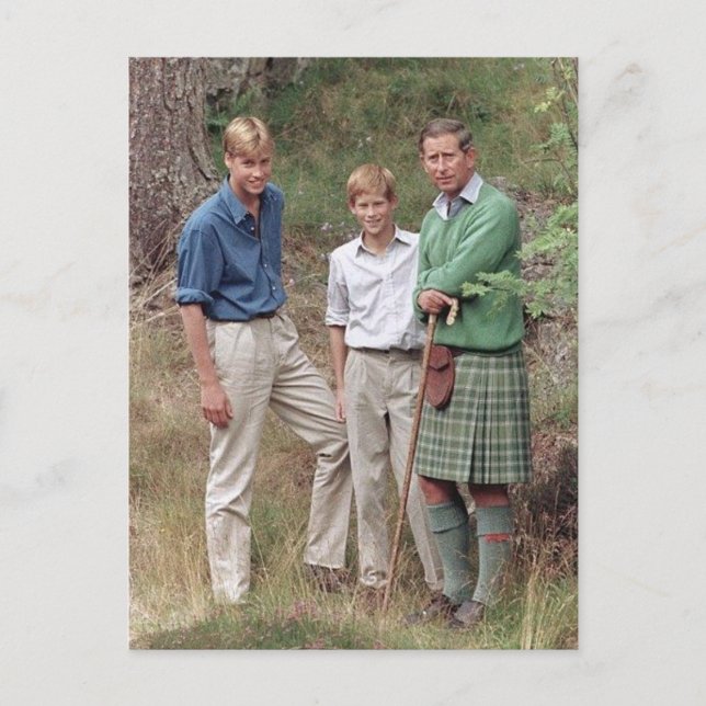 Princes Charles William Harry 1995 Postcard (Front)