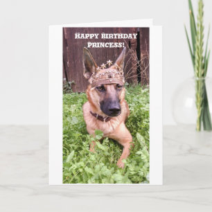 Princess Birthday Card with Belgian Malinois