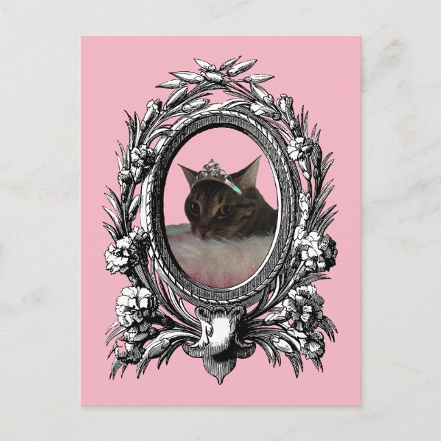 Princess Cat Vintage Frame Pink Background Postcard (Front)