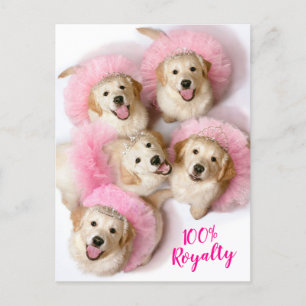 Princess Dogs in Tiaras Invitation Postcard