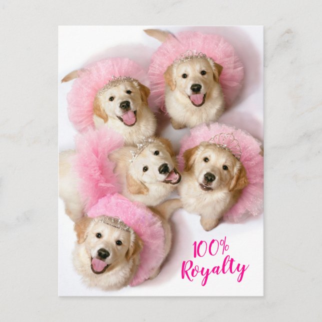 Princess Dogs in Tiaras Invitation Postcard (Front)