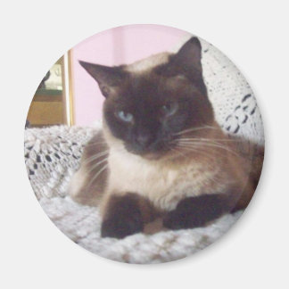 Princess on the couch magnet