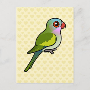 Princess Parrot Postcard