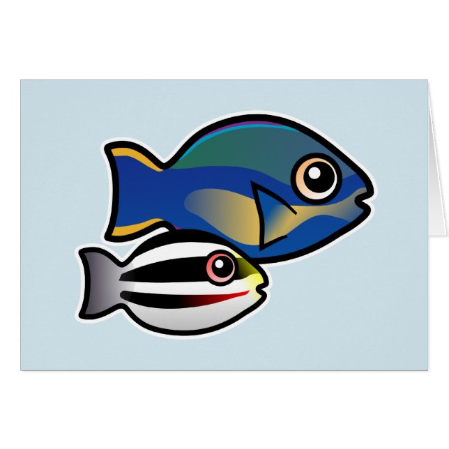 Princess Parrotfish with baby (Front Horizontal)