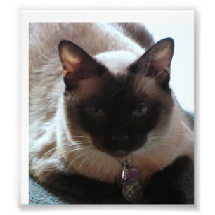 Princess Photo Print