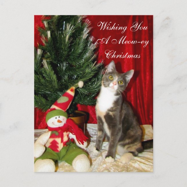 Princess Tiana's Christmas Card - Cat / Kitten (Front)