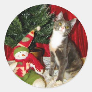 Princess Tiana's Christmas Tree - Cat / Kitten Classic Round Sticker