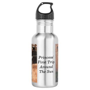 Princess Water Bottle