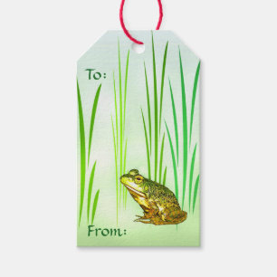 Princesse Charming Frog Pack des étiquettes de