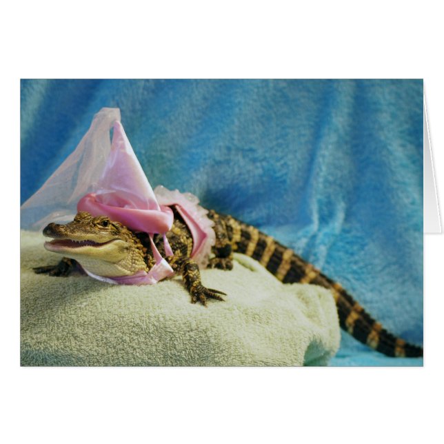 Princesse Penny Cards (Devant horizontal)