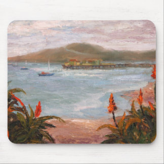 Princeton Harbour in Fog Mouse Pad