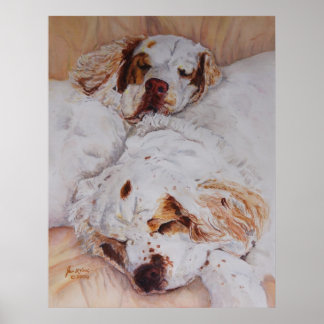 print - Comfort - Two Clumber Spaniels