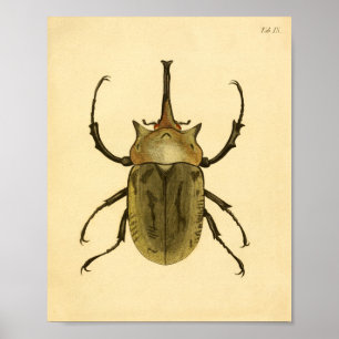 print "Entomology IV"