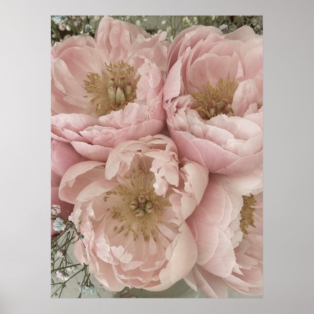 PRINT | Peonies I - 24in x 32in (Front)