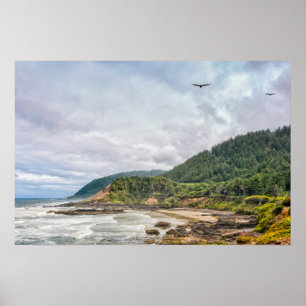 Print: Seagulls Flying Along Coast Poster