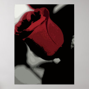 Print - Single Red Rose