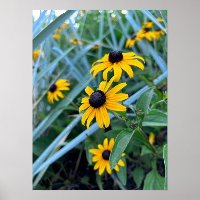 Print, Value Poster Paper (Matte) (Front)