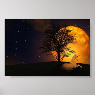 Print, Value Poster Paper (Matte)