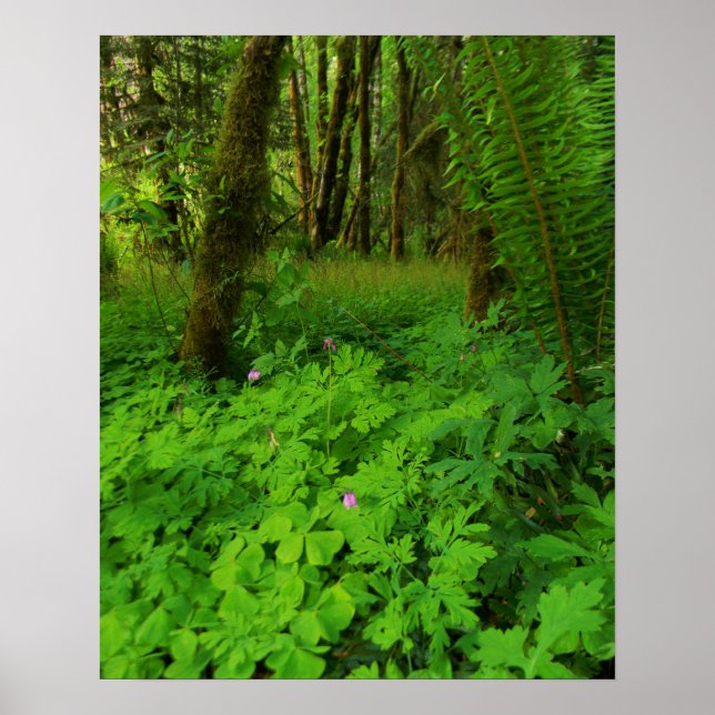 Print, Value Poster Paper (Matte) (Front)