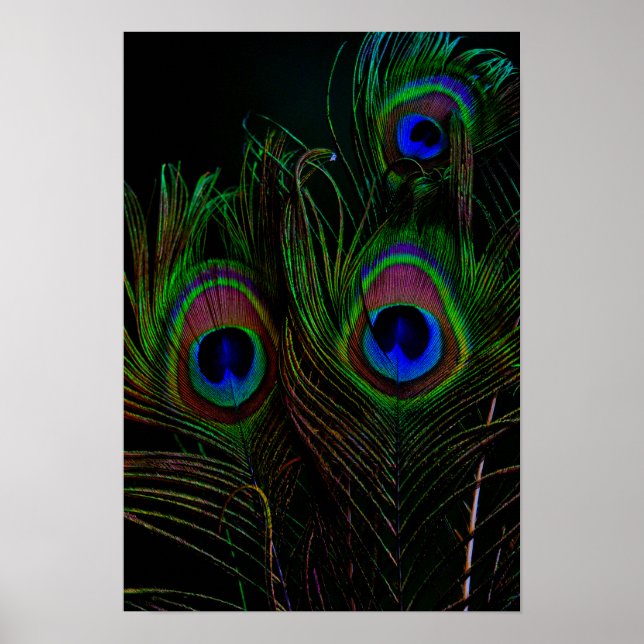 Print, Value Poster Paper (Matte) (Front)