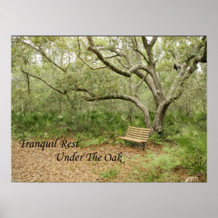 Print, Value Poster Paper (Matte)