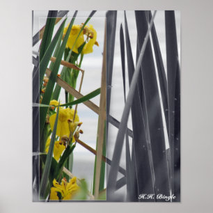 PRINT - Yellow Wildflowers