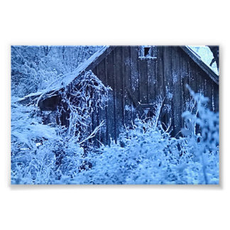 PRINT YOUR OWN PHOTOS