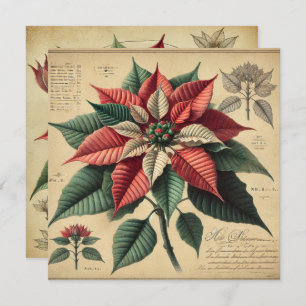Printable Retro Poinsettia Botanical Scrapbook Invitation