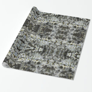 Printemps, Blossoms blancs photo, Papier cadeau