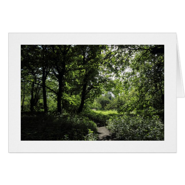 Printemps dans les bois 03 (bordé) (Devant horizontal)