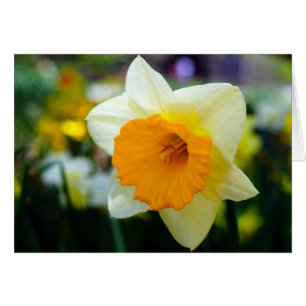 Printemps de beauté