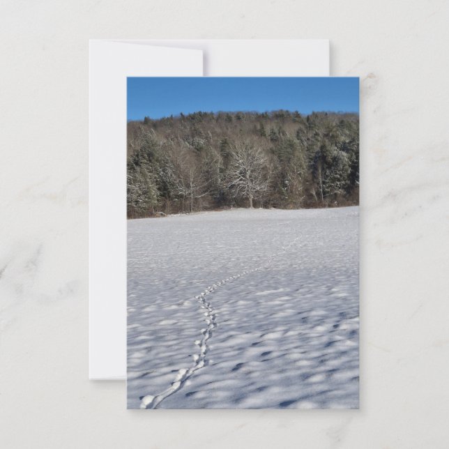 Prints in a snowy field Note Card (Front)