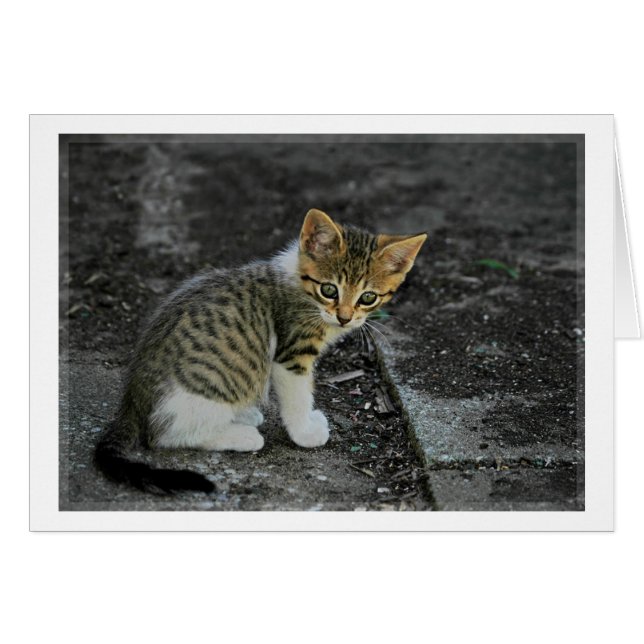 Pris (Devant horizontal)