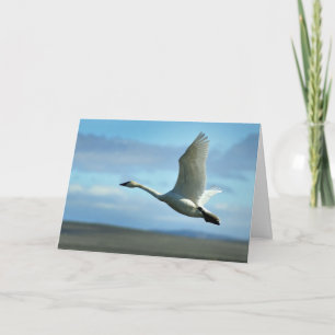 Prise d'une carte de voeux vierge en vol