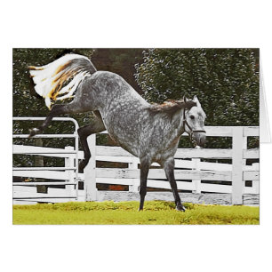 Prise en charge des soins