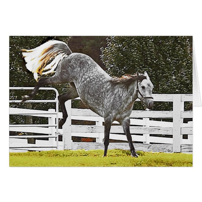 Prise en charge des soins (Devant horizontal)