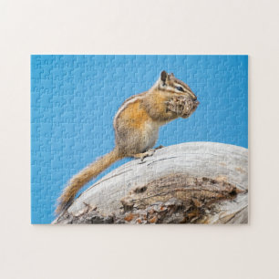 Prise en charge pour le puzzle d'hiver