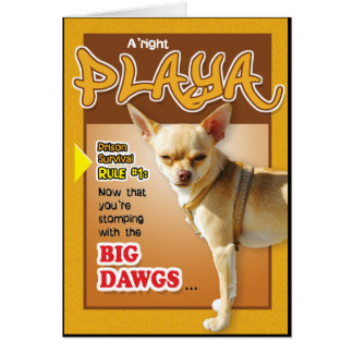 Prison Cards - Top Dawg