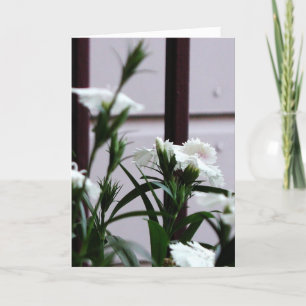 Prisoner Love.2 Card