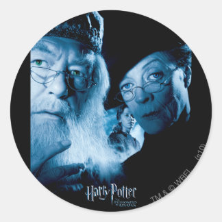 Prisoner of Azkaban - Spanish 1 Classic Round Sticker