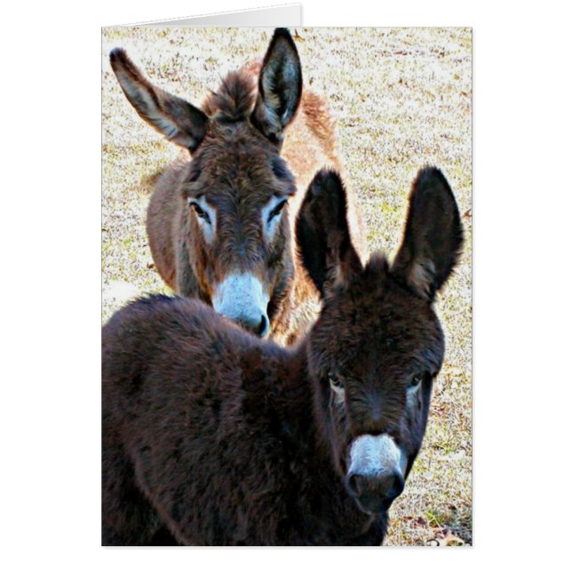 Prissy & Mama (Front)