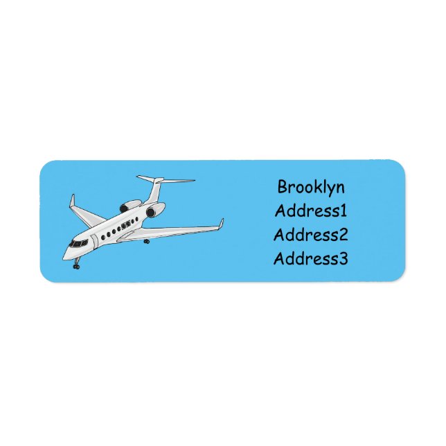 Private jet cartoon illustration (Front)