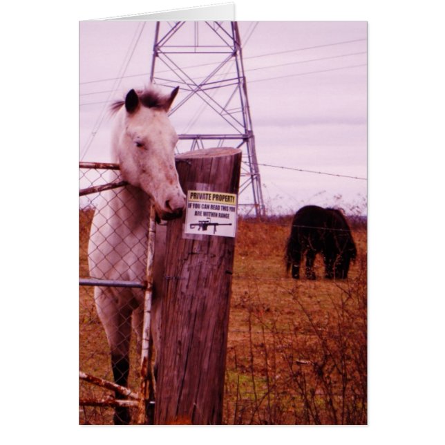 Private Property lavender Horse (Front)