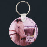 Private Property lavender Horse Keychain<br><div class="desc">Private Property lavender purple Horse Photo by Sandy Closs "gifts for horse lovers ",  "i love horses",  "no trespassing",  "grey horse"horse, horses, "horse gifts""farm animals ,  pony ,  ponies""horse lover""horse lovers"</div>