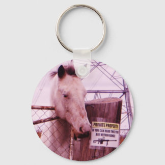 Private Property lavender Horse Keychain