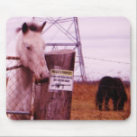 Private Property lavender Horse Mouse Pad<br><div class="desc">Private Property lavender purple Horse Photo by Sandy Closs "gifts for horse lovers ",  "i love horses",  "no trespassing",  "grey horse"horse, horses, "horse gifts""farm animals ,  pony ,  ponies""horse lover""horse lovers"</div>