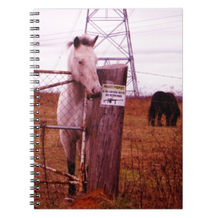 Private Property lavender Horse Notebook